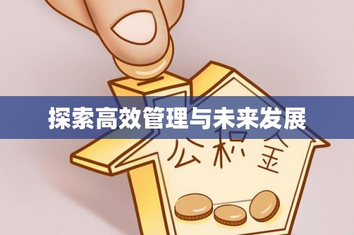 安次探索高效管理与未来发展