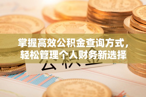 安次掌握高效公积金查询方式，轻松管理个人财务新选择